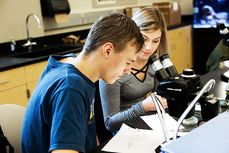Students working on an assignment in front of a microscope.
